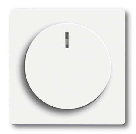 ABB 2CKA006599A2961 Keskiölevy mattavalkoinen, Kytkimet & pistorasiat