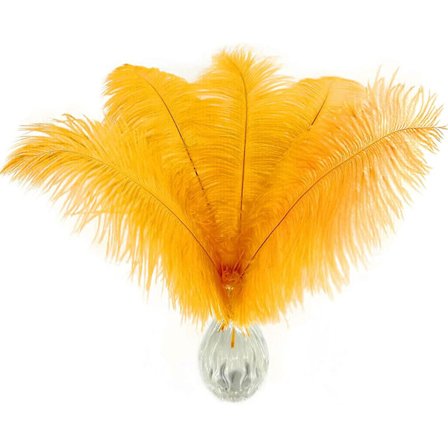 20 st Natura Gold strutsfjädrar 12-14 tum (30-35 cm) Bulk för DIY Thanksgiving-dekorationer, bröllopsfestens mittpunkter, Gatsby-dekorationer