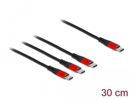 Delock USB type C-kabel - USB-C til USB-C - 30 cm