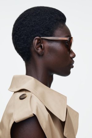 COS Femme Lunettes De Soleil Œil-De-Chat Angulaires in Marron