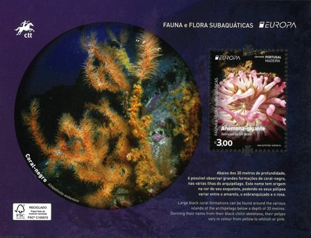 Madeira - EUROPA 2024 Undervandsfauna og -flora - Postfrisk miniark