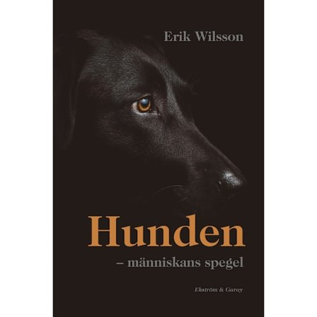Hunden : människans spegel 9789189743809