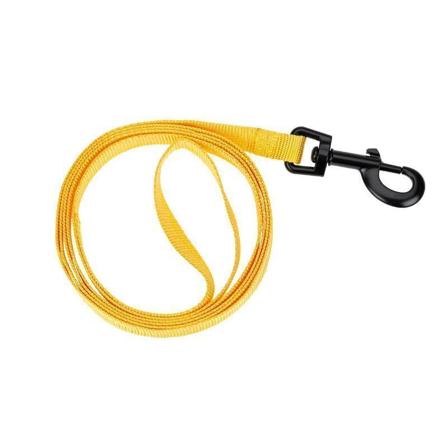 CANEM BASIC KOBBEL GUL M, Hund, Kobbel og bånd, Leiebånd