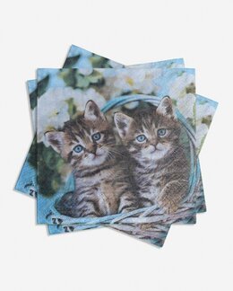 Servetter 1st 20-pack Kattungar Multi - Pixie Design