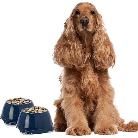 DogCentre 2x 0.6L Tumman Sininen Spanieli Koiranpentukulhot Liukumaton Lemmikkieläinten Ruoka-astiasetti