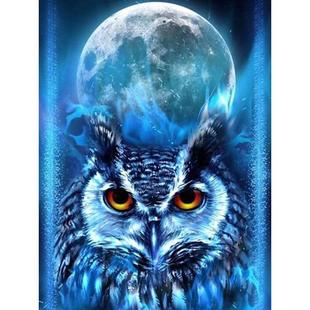 30 x 40 cm, ugle diamantmaleri broderi diamantmaleri lærred