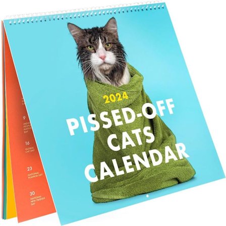 2024 Pissed-Off Cats Calendar Väggkalender Hängkalender