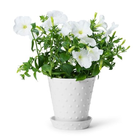 In Flore Astrid Blomkruka Och Fat Krukor & vaser Vit