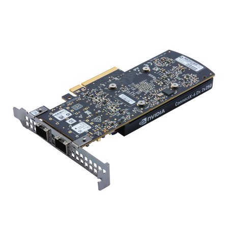 HP NVIDIA Mellanox ConnectX-6 DX - nettverksadapter - 10/25 Gigabit SFP28 x 2