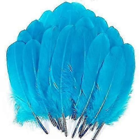 200 stk. Gåse Nagoire Fjer