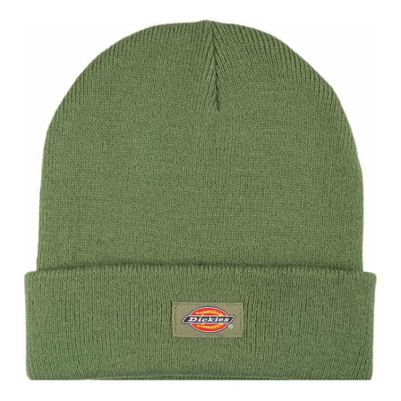 Dickies Beanies , Groen , Heren , Maat: ONE Size Hoeden
