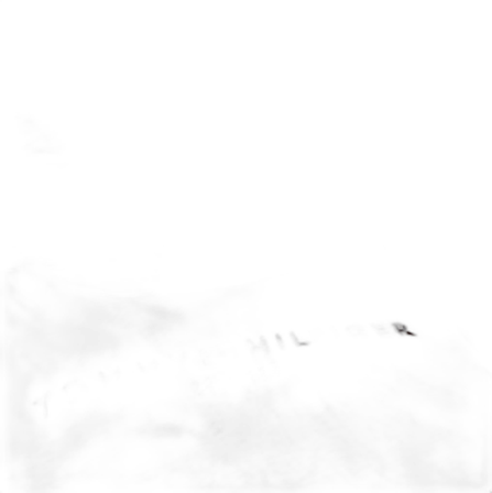 Tommy Hilfiger hoodie