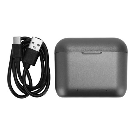 Insta360 X3 Snabb Batteriladdare LED-indikator 2 Kanalers Laddstation Typ C-kabel