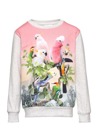 Regine Sweatshirt Trøje Hvid Molo