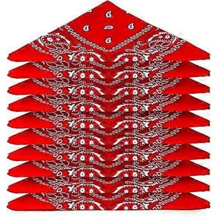 Pakke med 10 bandana bomulds paisley tørklæde tørklæder bandanas (54*54cm), rød) (FMY)