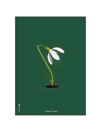 Snowdrop Green Home Decoration Posters & Frames Posters Botanical Monivärinen/Kuvioitu Brainchild