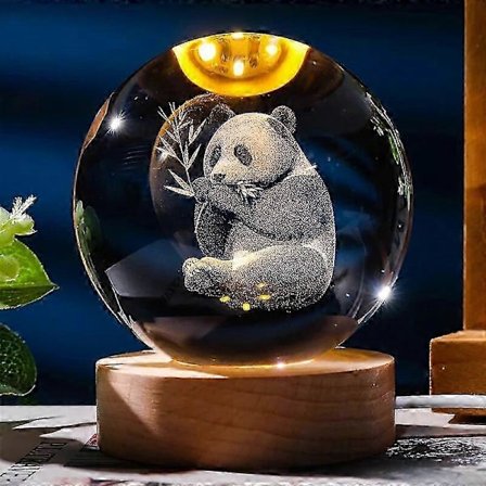 Guitar Pick Sæt Med Opbevaringsboks - 10 Celluloid Plektre + 6 Fingerplektre + 2 Tommelfingerplektre