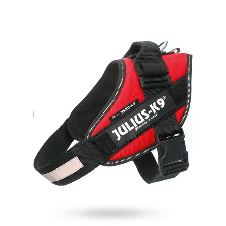 JULIUS-K9 - K9 IDC Hundsele Röd