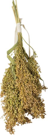 Jr Farm Pancile Hirse - 100g