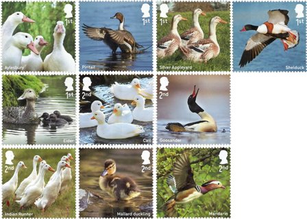 England - Ænder - Postfrisk sæt 10v