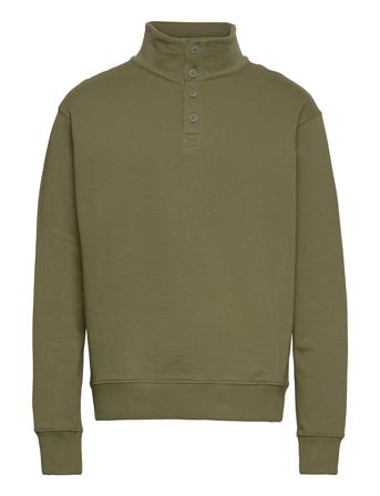 Neruda Green Mango