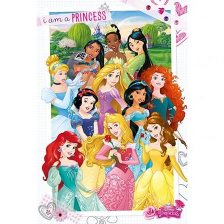 Disney Princess Poster En Storlek Flerfärgad