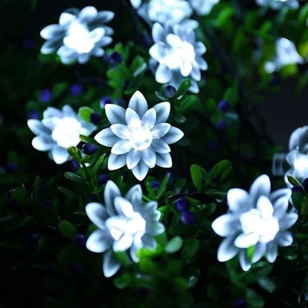 Solcelled Lysstreng Udendørs, Vandafvisende 21ft 50 LED Lotusblomst Lys Sol Dekoration Fe Lys til Haver, Hjem, Bryllup, Julefest og