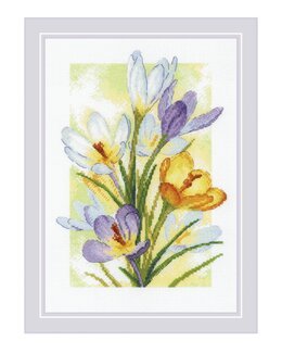 Stickpackung Bild Krokusse