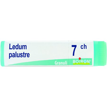Boiron Ledum Palustre Globuli 07Ch Dose 1g