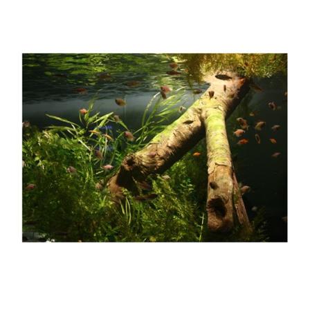 pvc akvarium självhäftande bakgrund klistermärke fisk tank dekor undervattens trä l