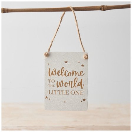 Metallskylt Mini - Welcome To The World
