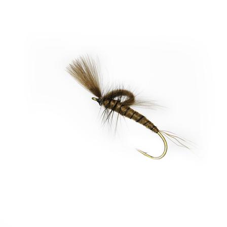 Vulgata Emerger # 8