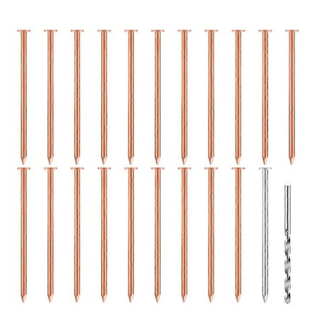 20 kpl kuparinauloja, jotka soveltuvat puiden ja kantojen tappamiseen - 3,5 tuumaa pitkiä, mukana 1 teräsnaula ja 1 poranaula