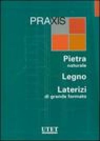 Praxis: Pietra naturale-Legno-Laterizi di grande formato. Ediz. illustrata. Con CD-ROM