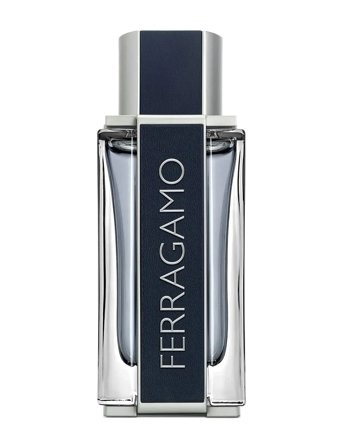 Ferragamo Ferragamo Men Edt 100Ml - Nude - 100 ML