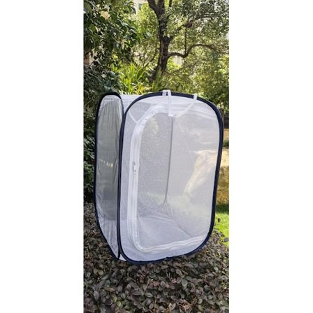 Bur til insekter og sommerfugle, 40x40x60 Insektbur, Insekt