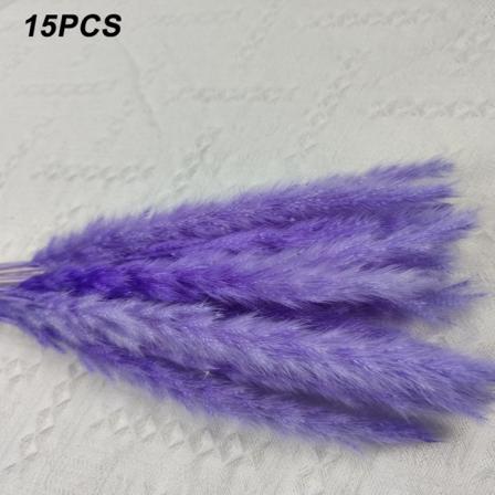 15 st naturlig torkad pampas gräsvass blomma gäng bröllop bukett dekorationer hem vardagsrum dekoration Purple