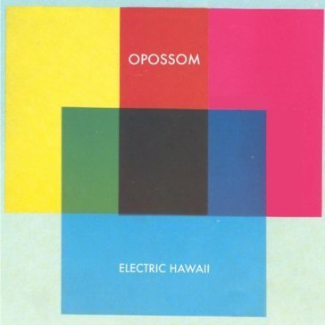 Electric hawaii Opossom