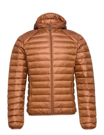 Nico Ml Capuche Basique Brown JOTT