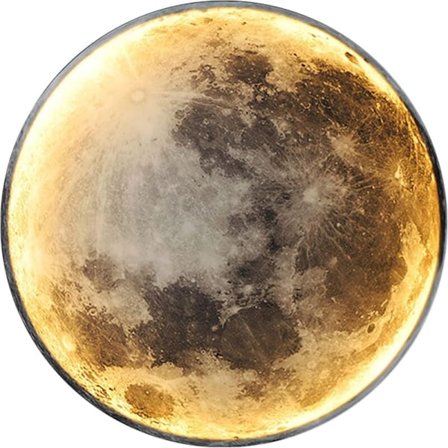 Innendørs Vegglampe, Moderne 15W LED Vegglampe Sirkeldesign, 6500K Vegglamper Justerbar, Svart, for Soverom, Stue, 30CM [Energiklasse A++]