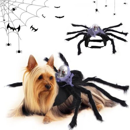 Halloween Edderkopp Hundekostyme, Halloween Kostyme for Kjæledyr, Hund