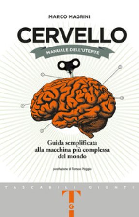 Cervello. Manuale dell'utente. Guida semplificata alla macchina più complessa del mondo Marco Magrini