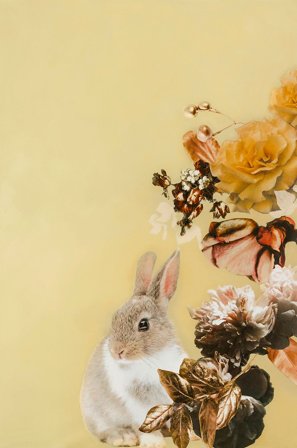 Malerifabrikken - Poster Pet Couture 4 - Flerfarvet - Posters - Fra Homeroom