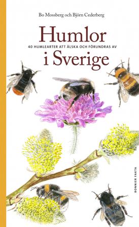 Humlor i Sverige : 40 arter att älska och förundras över - Bok av Bo Mossberg & Björn Cederberg - Häftad