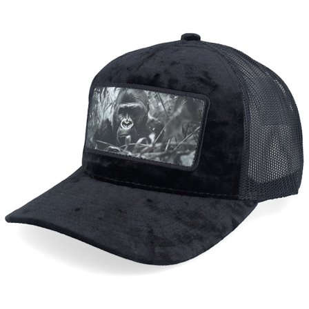Calza Pennello - Zwart trucker Cap - Gorilla Big Patch Velvet Black Trucker @ Hatstore
