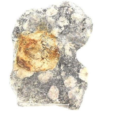 Stenar och mineraler. Orbikulär diorit. 2162,20 cent. Sainte-Lucie-de-Tallano, Corsica-du-Sud, Frankrike.