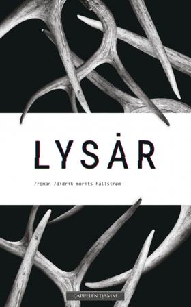 Lysår - Bok av Didrik Morits Hallstrøm - Hardback