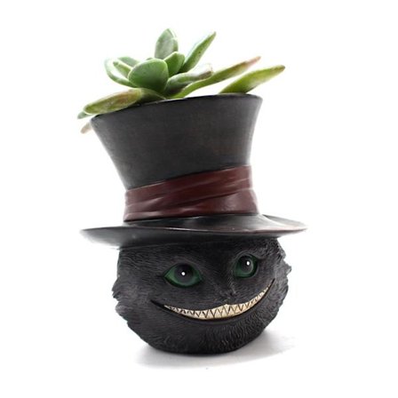 Kissanpentu-ruukku (kasvi ei sisälly), luova hartsihattu, mehikasviruukku, vihreä kasvi ruukutettu työpöydän koriste