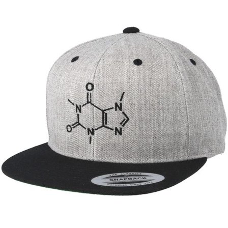 Iconic - Grå snapback Keps - Caffeine Molecule Grey/Black Snapback @ Hatstore