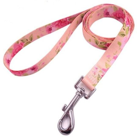 Hundvalpledning Husdjursledning 6 6